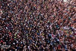 electriczoocrowd